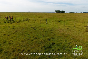 INICIO TOURO.00_05_04_19.Quadro031_d6fd588eecc27a59765fa705004d9487417ae63d.jpg